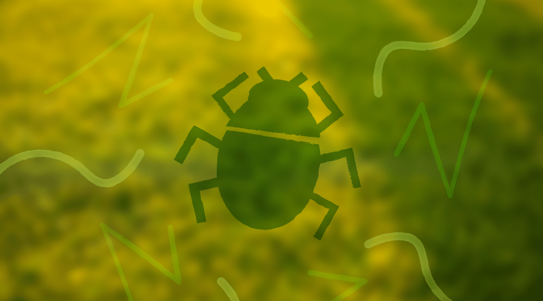 The Truth About 3 Natural Pest Repellents: Separating Fact from Fiction